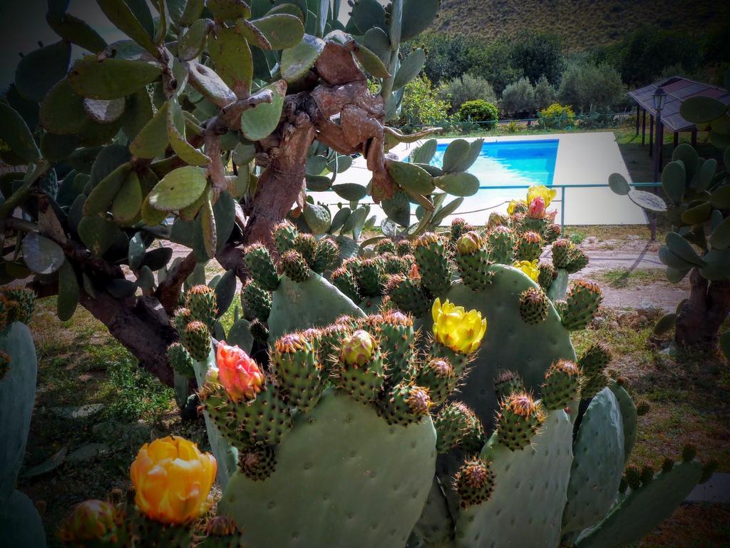 Agriturismo Timpa Del Sole Villa Noto Eksteriør billede