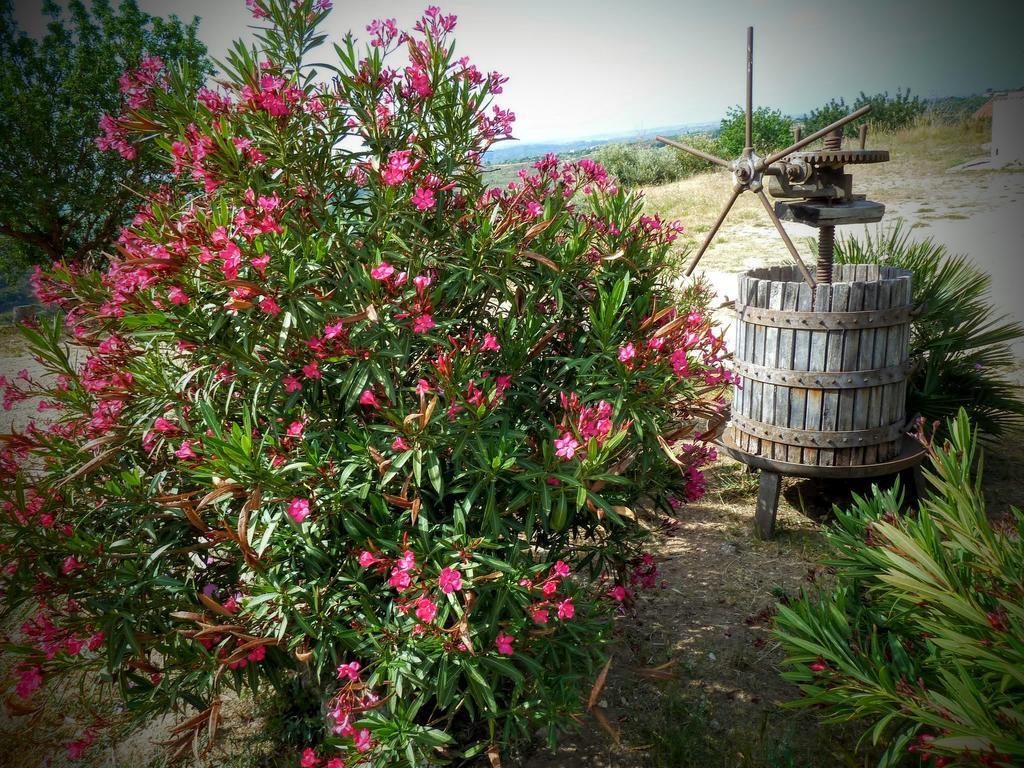 Agriturismo Timpa Del Sole Villa Noto Eksteriør billede